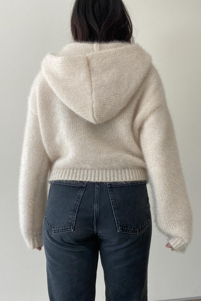 Dori Metallic Knit Crop Hoodie