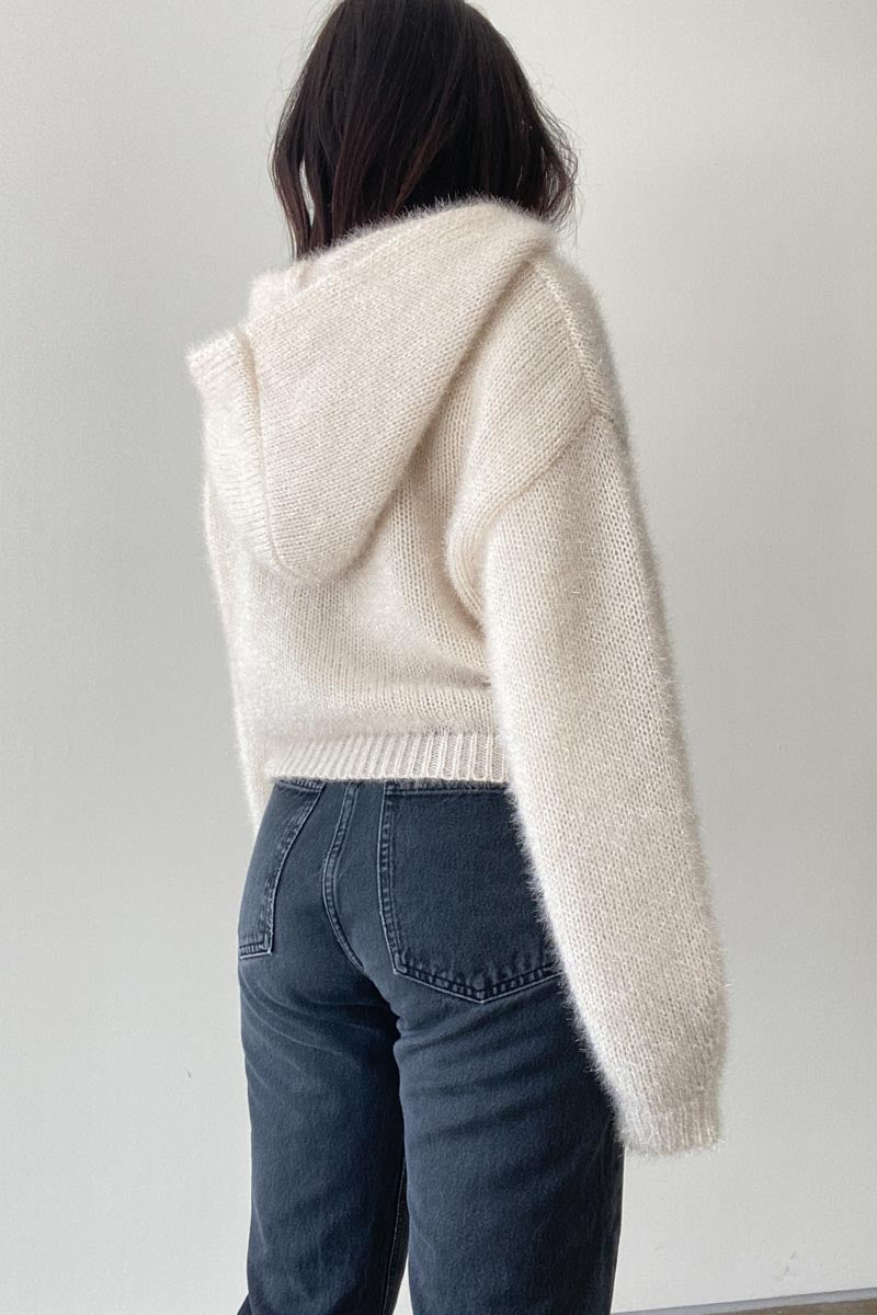 Dori Metallic Knit Crop Hoodie