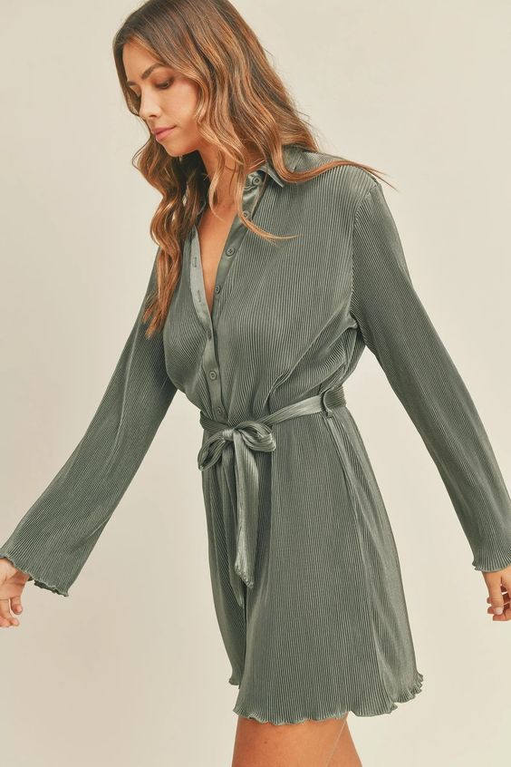 Bala Pleated Shirt Dress