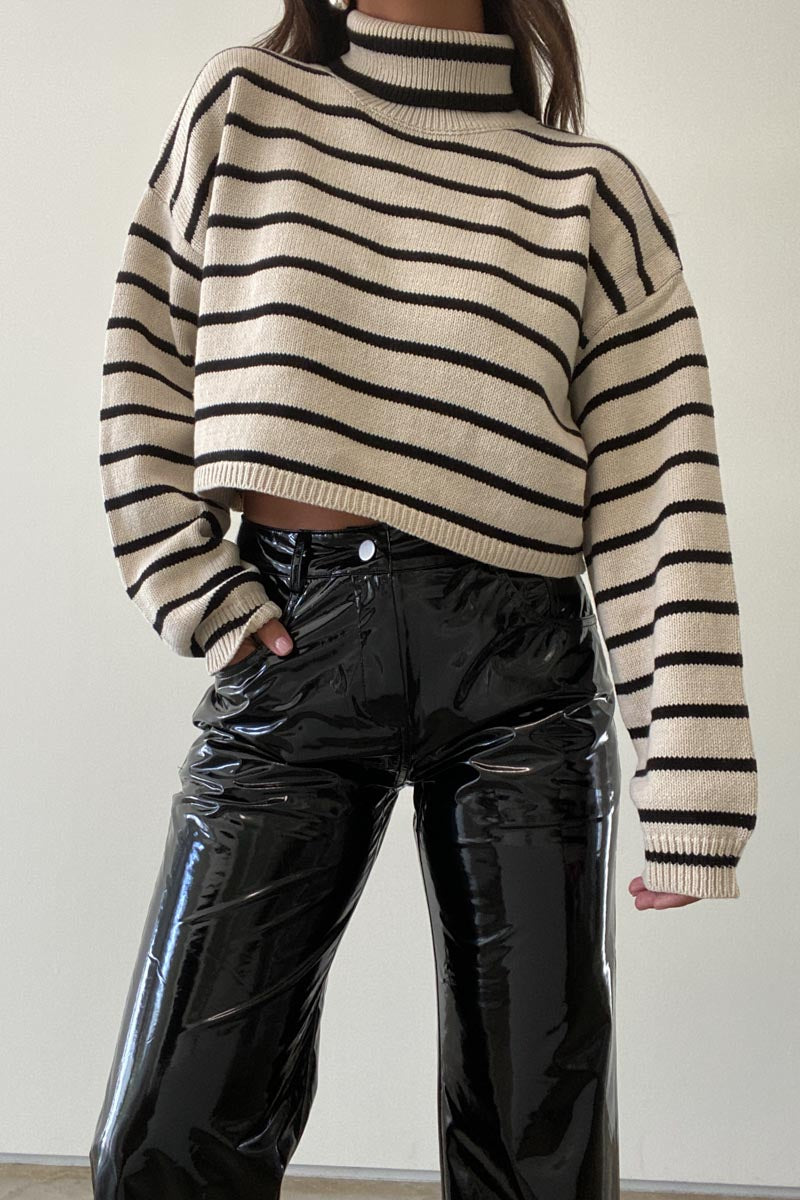 Daphne Stripe Turtleneck Pullover