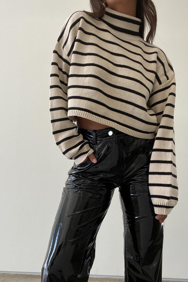 Daphne Stripe Turtleneck Pullover