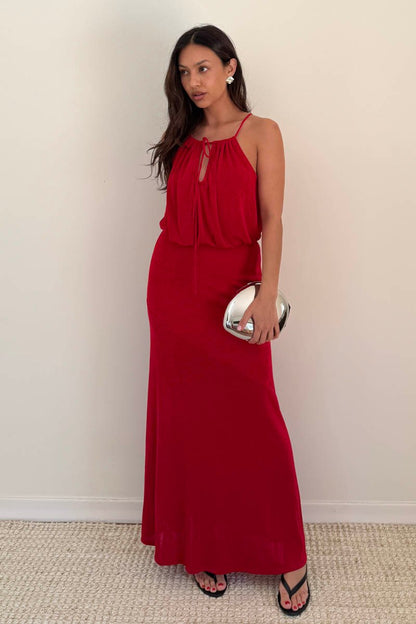 Honorina Slinky Knit Maxi Dress