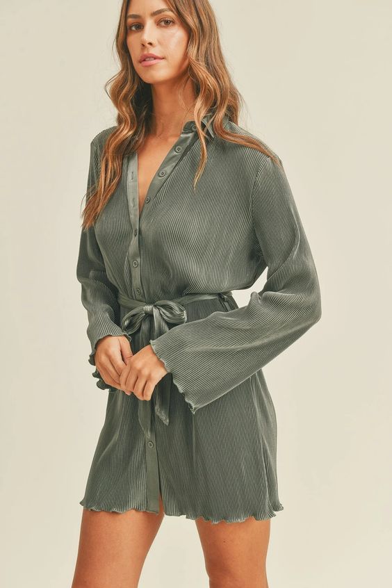 Bala Pleated Shirt Dress