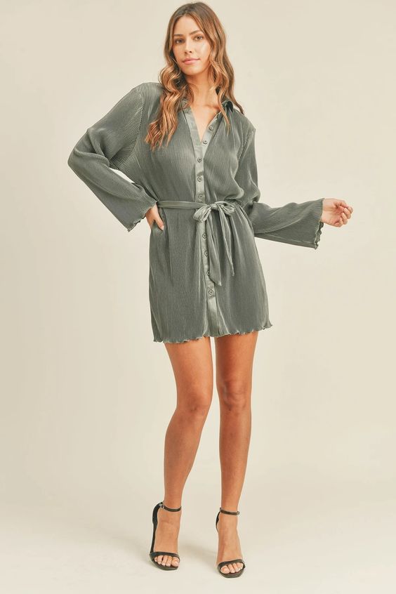 Bala Pleated Shirt Dress