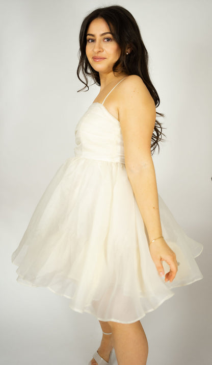 Cora Pleated Organza Dress